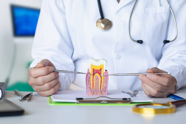 Best Emergency Care for Gum Disease in Rheems, PA